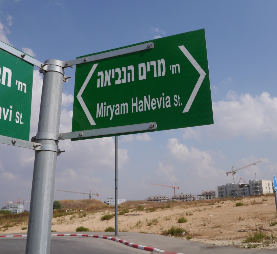 פסגות אפק - ראש העין 